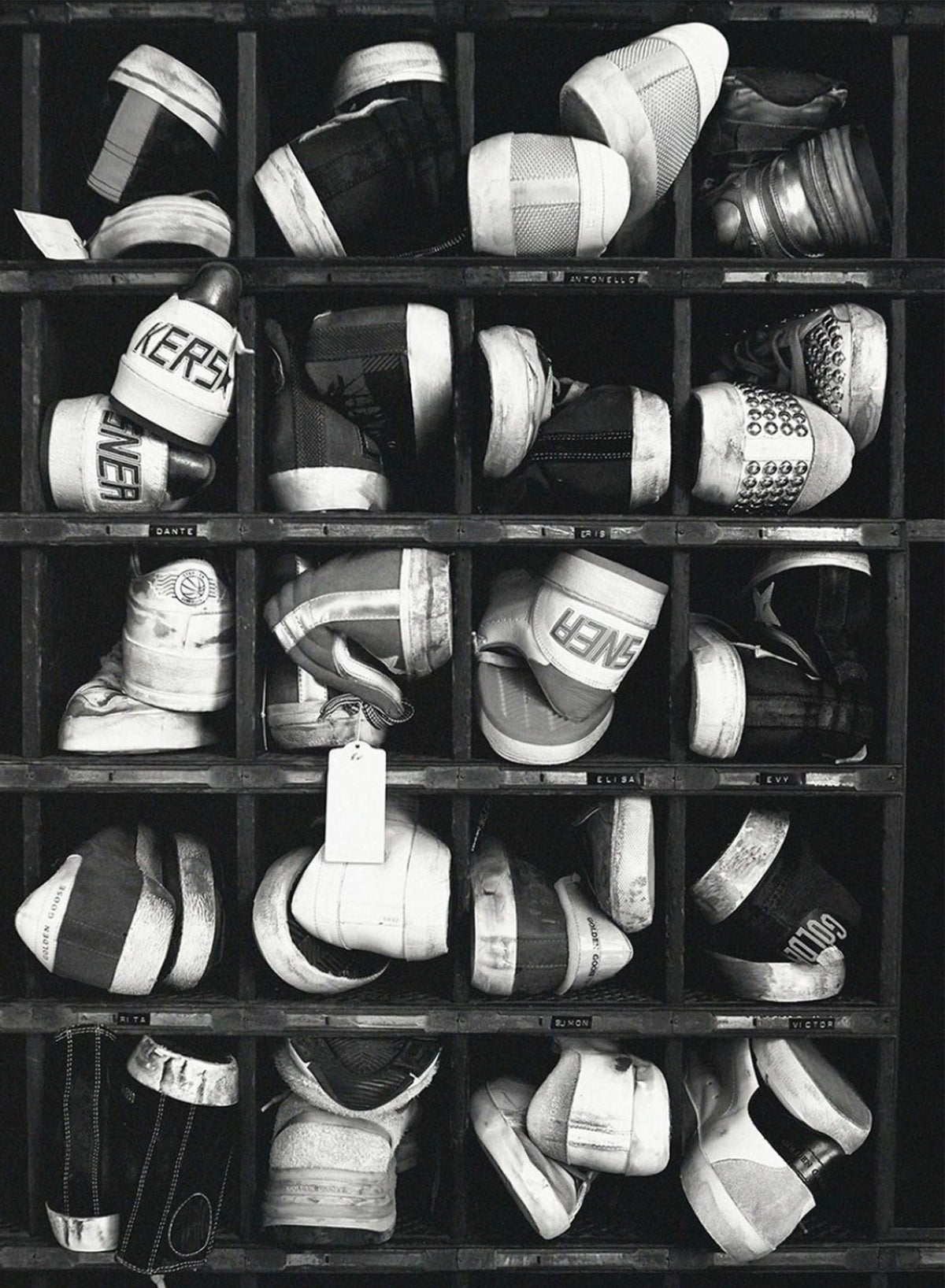 Golden Goose