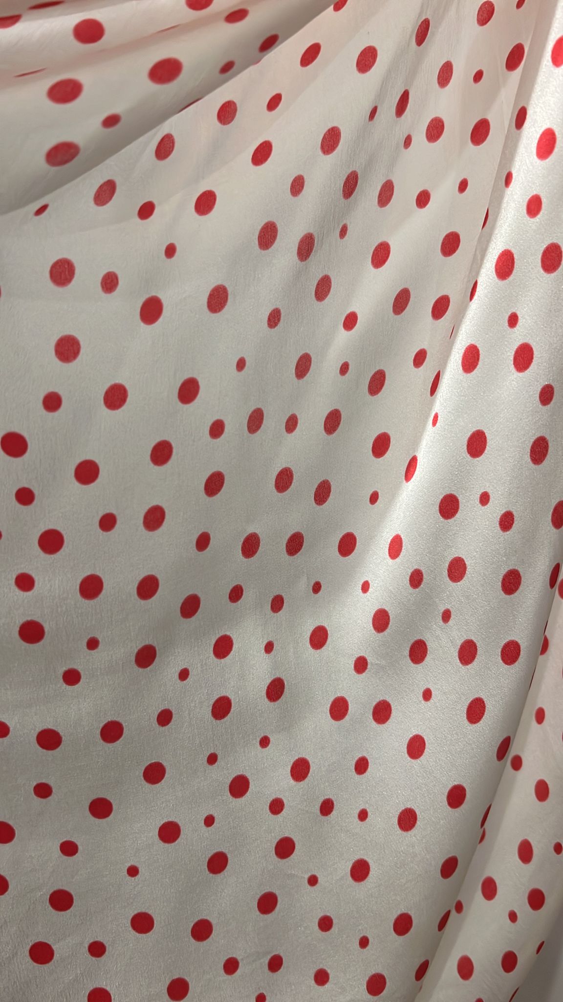 Faliero Sarti Pallini Scarf
