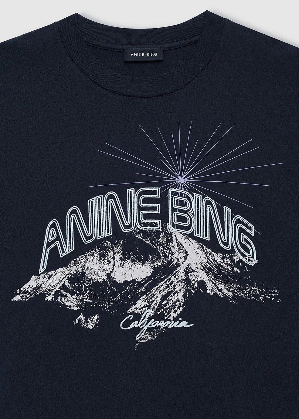 Anine Bing Walker Tee California