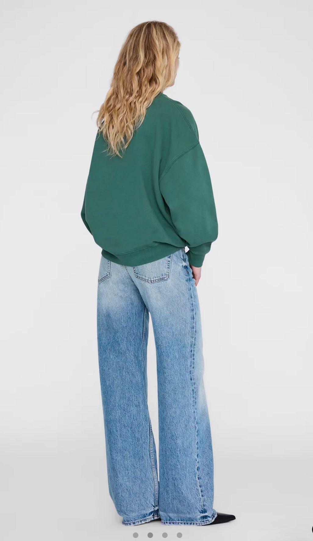 ANINE BING MILES SWEATSHIRT LEO MUSE