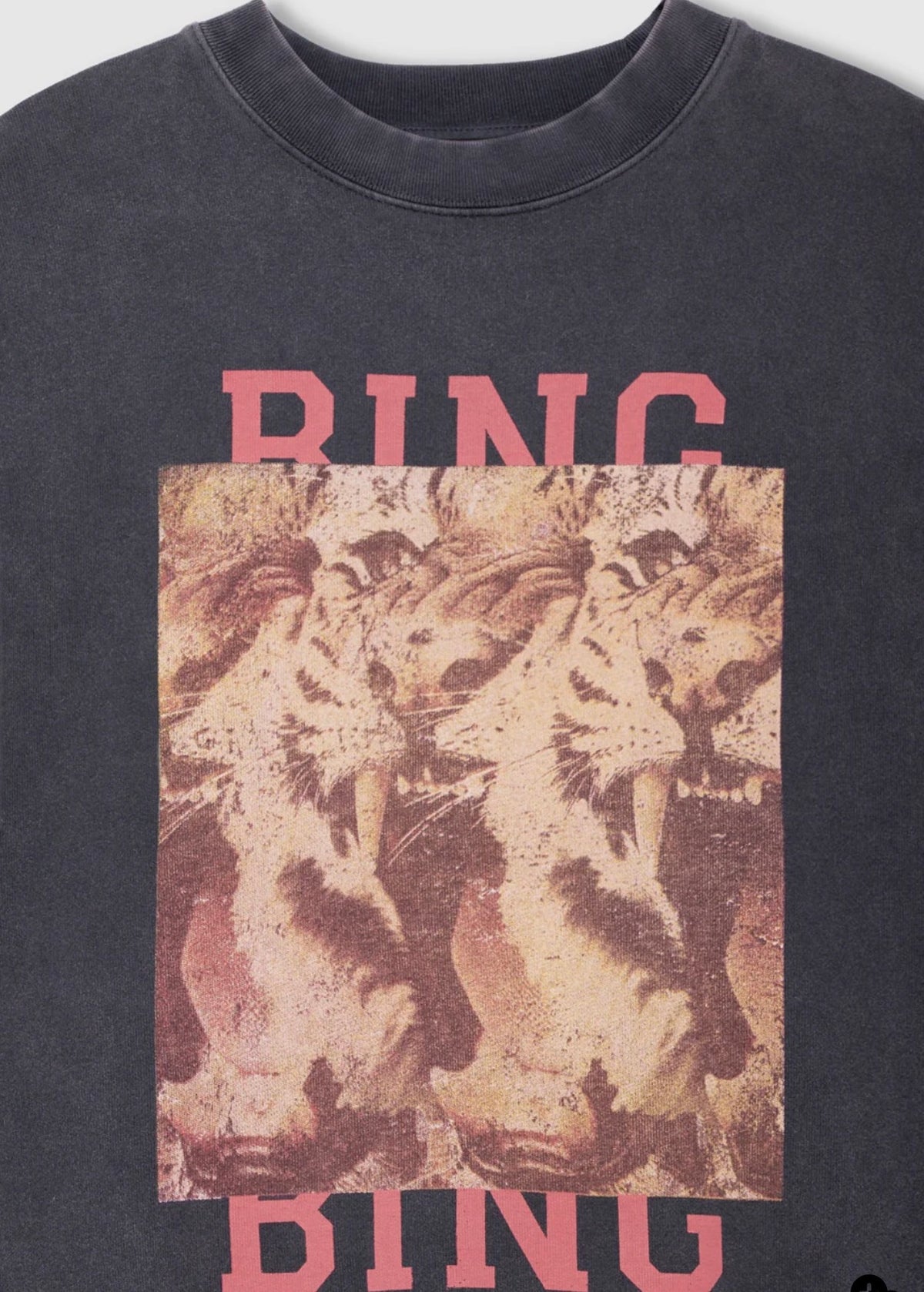 ANINE BING MILES SWEATSHIRT TIGER BING