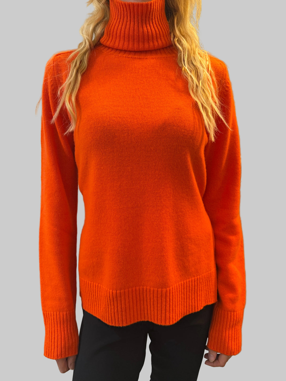 PAROSH LESTAT ROLLNECK SWEATER
